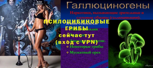 спиды Алзамай