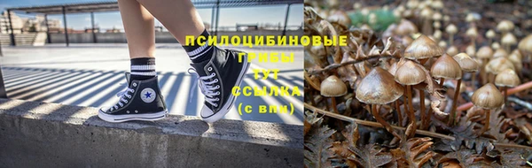 спиды Алзамай