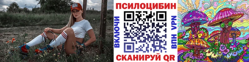купить закладку  Нюрба  Галлюциногенные грибы Psilocybine cubensis 